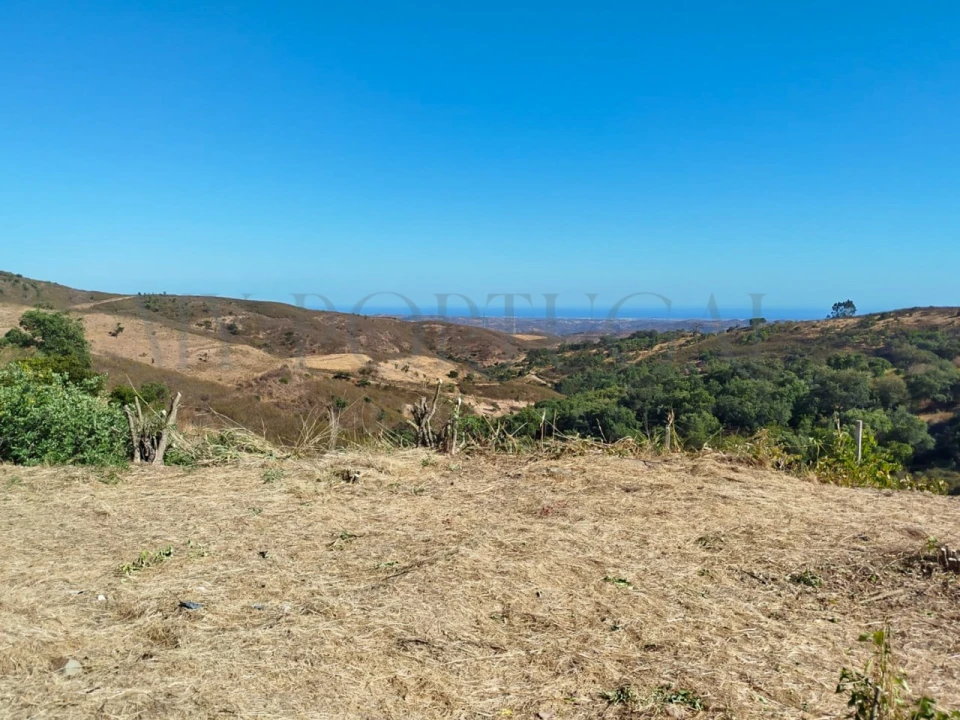 Moradia T2 para Venda em Santa Catarina da Fonte do Bispo Foto 2