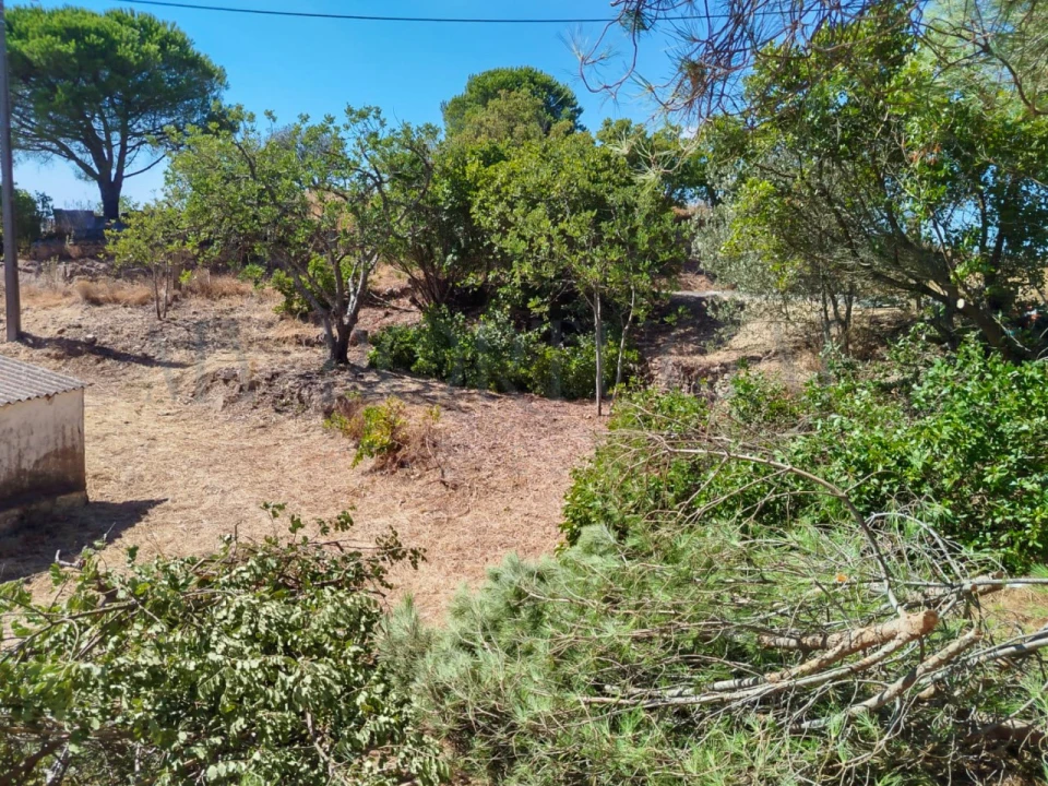 Moradia T2 para Venda em Santa Catarina da Fonte do Bispo Foto 31