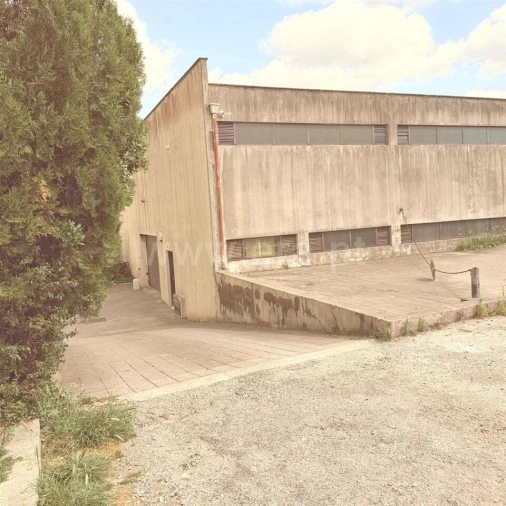 Apartamento T3 para Venda em Campanhã Foto 4