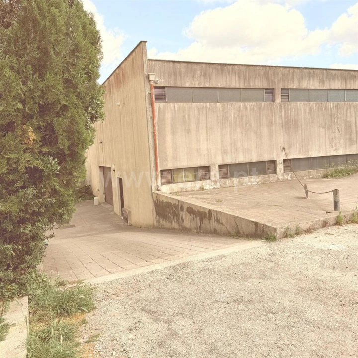 Apartamento T3 para Venda em Campanhã Foto 4