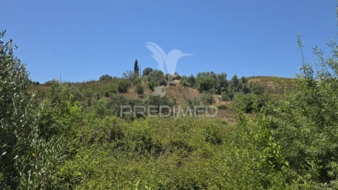 Quinta T4 para Venda em São Marcos da Serra