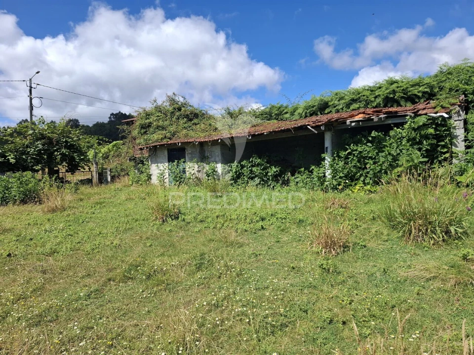Terreno para Venda em Vade Foto 23