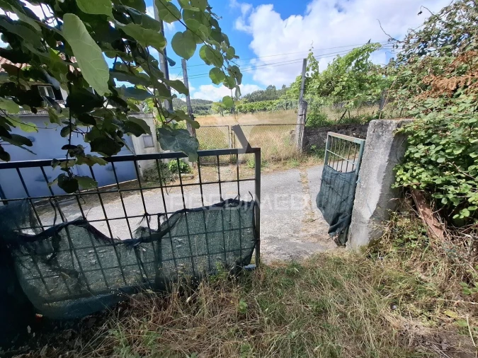 Terreno para Venda em Vade Foto 26