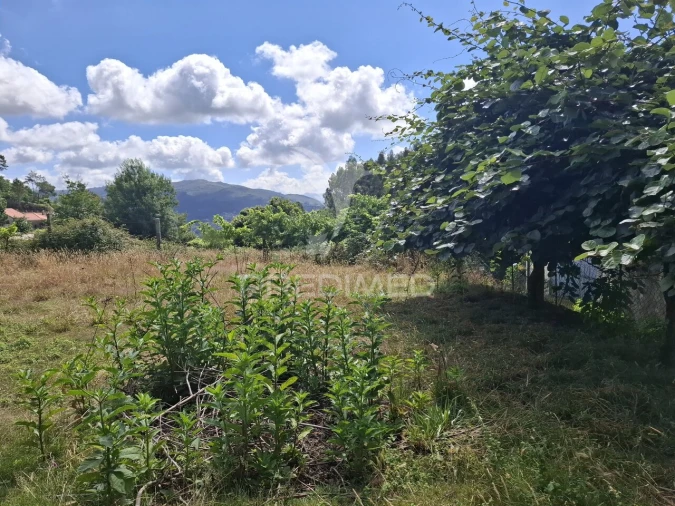Terreno para Venda em Vade Foto 25