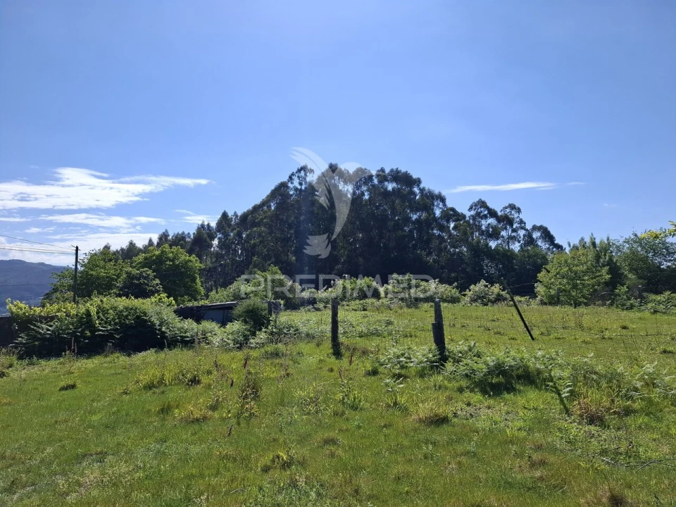 Terreno para Venda em Vade Foto 17
