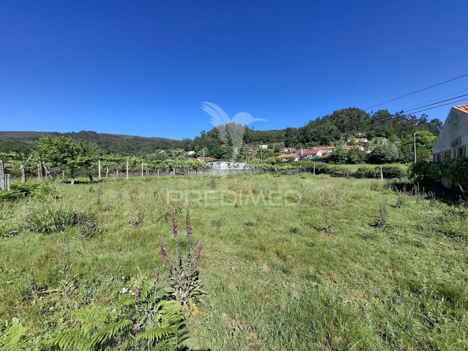 Terreno para Venda em Vade Foto 11