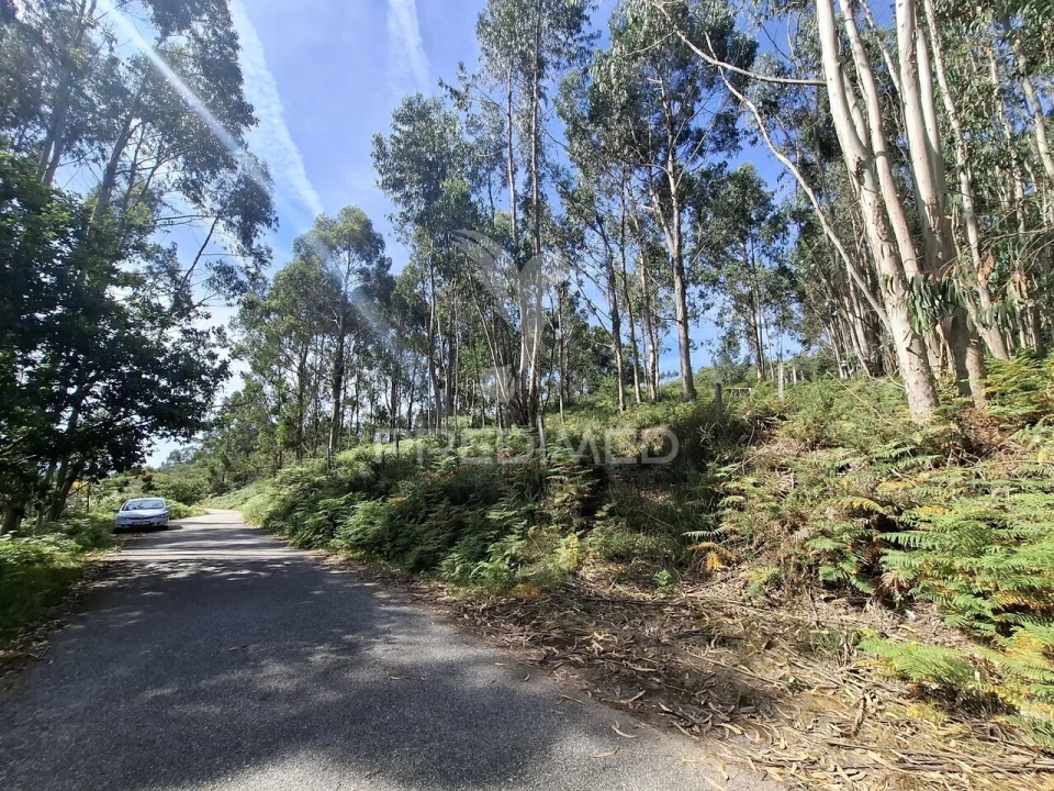 Terreno para Venda em Vade Foto 6