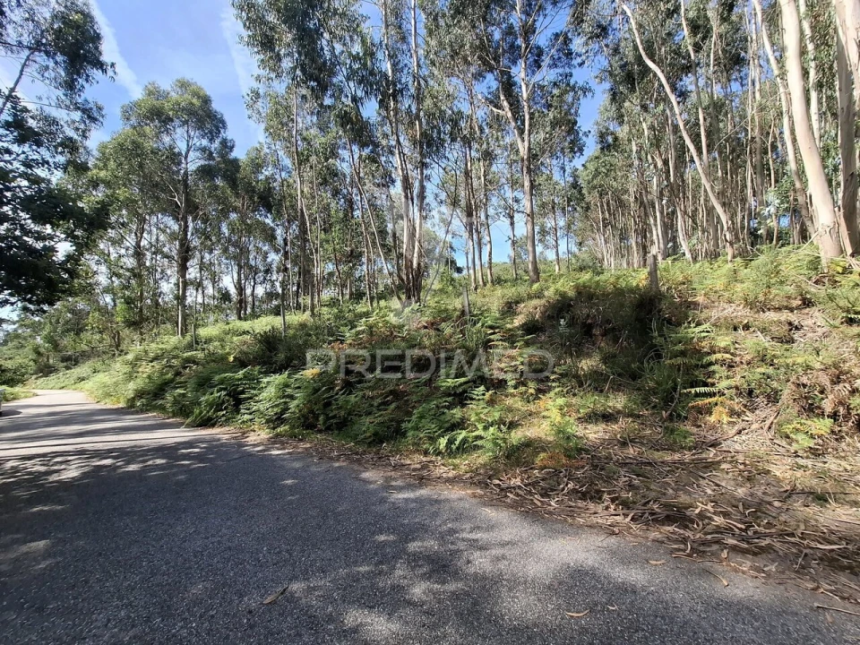Terreno para Venda em Vade Foto 4