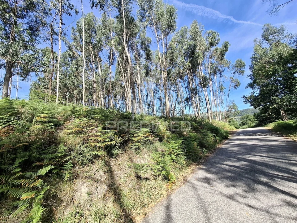Terreno para Venda em Vade Foto 3