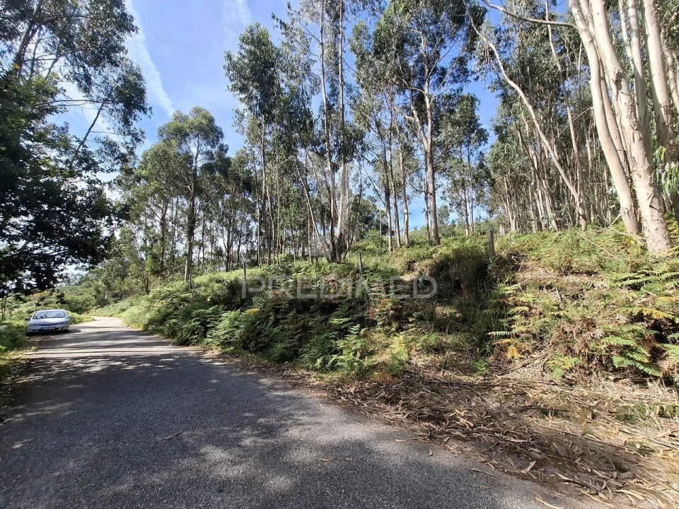 Terreno para Venda em Vade Foto 5