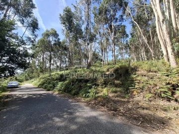 Terreno para Venda em Vade