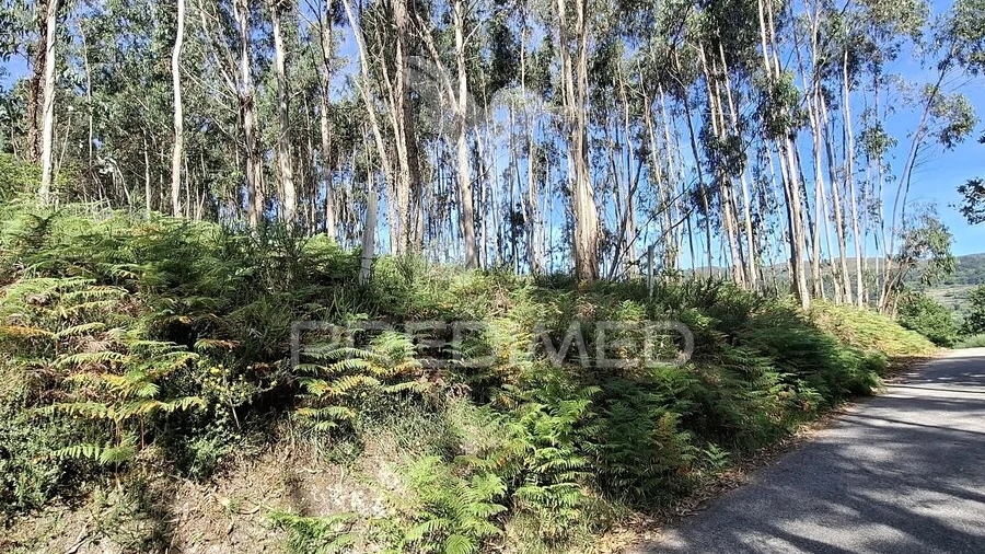 Terreno para Venda em Vade