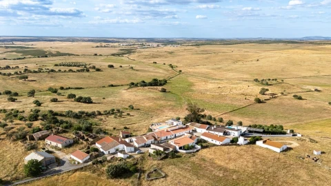 Moradia T7 para Venda em São Miguel do Pinheiro, São Pedro de Solis, São Sebastião dos Carros