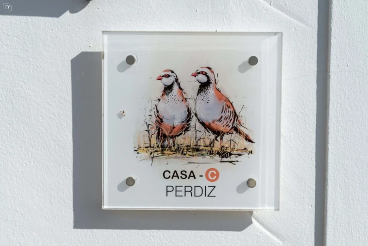 Moradia T7 para Venda em São Miguel do Pinheiro, São Pedro de Solis, São Sebastião dos Carros Foto 34