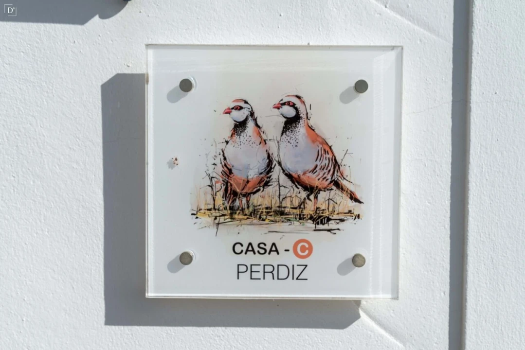Moradia T7 para Venda em São Miguel do Pinheiro, São Pedro de Solis, São Sebastião dos Carros Foto 34