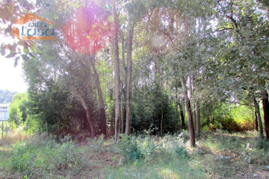 Terreno P/ Prédio para Venda em Grijó e Sermonde Foto 6