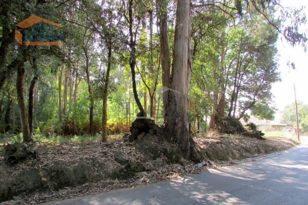 Terreno P/ Prédio para Venda em Grijó e Sermonde Foto 7