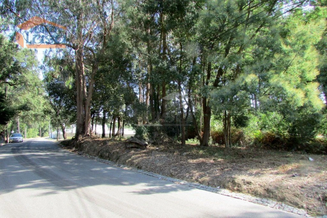 Terreno P/ Prédio para Venda em Grijó e Sermonde Foto 9