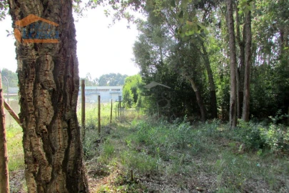 Terreno P/ Prédio para Venda em Grijó e Sermonde