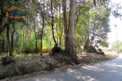 Terreno P/ Prédio para Venda em Grijó e Sermonde
