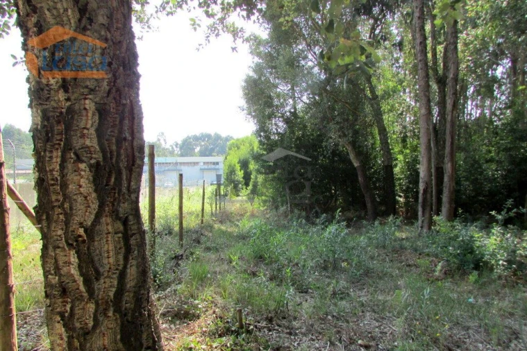 Terreno P/ Prédio para Venda em Grijó e Sermonde Foto 5