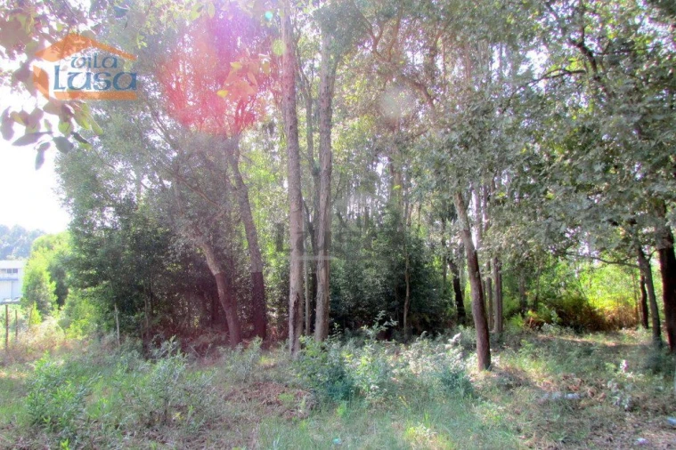 Terreno P/ Prédio para Venda em Grijó e Sermonde Foto 6