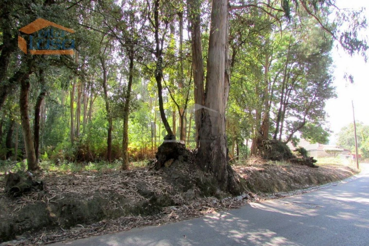 Terreno P/ Prédio para Venda em Grijó e Sermonde Foto 7