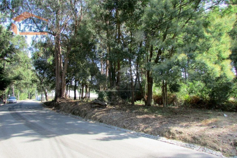 Terreno P/ Prédio para Venda em Grijó e Sermonde Foto 9