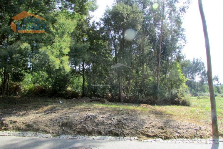 Terreno P/ Prédio para Venda em Grijó e Sermonde Foto 10