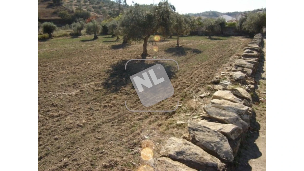 Terreno para Venda em Vale de Santiago Foto 5