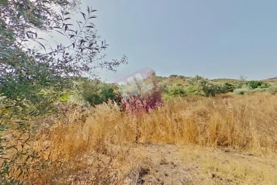 Terreno para Venda em Vale de Santiago
