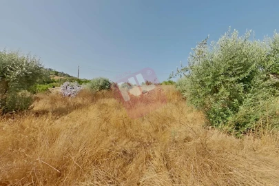Terreno para Venda em Vale de Santiago