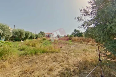 Terreno para Venda em Vale de Santiago