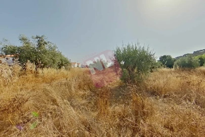 Terreno para Venda em Vale de Santiago