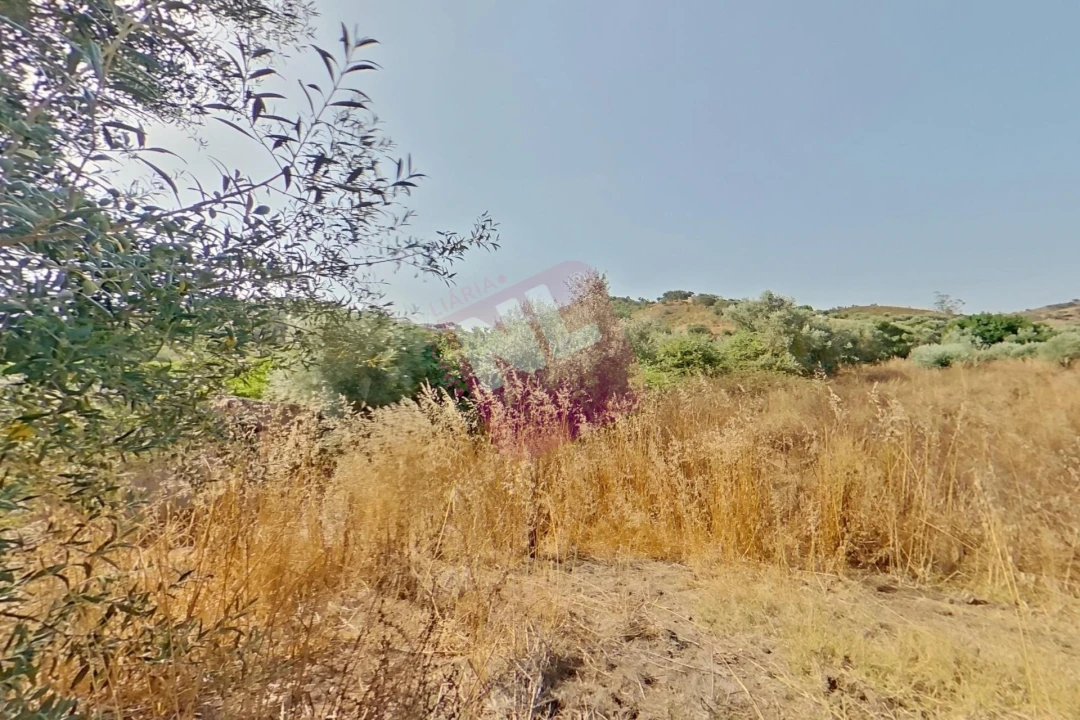 Terreno para Venda em Vale de Santiago Foto 16