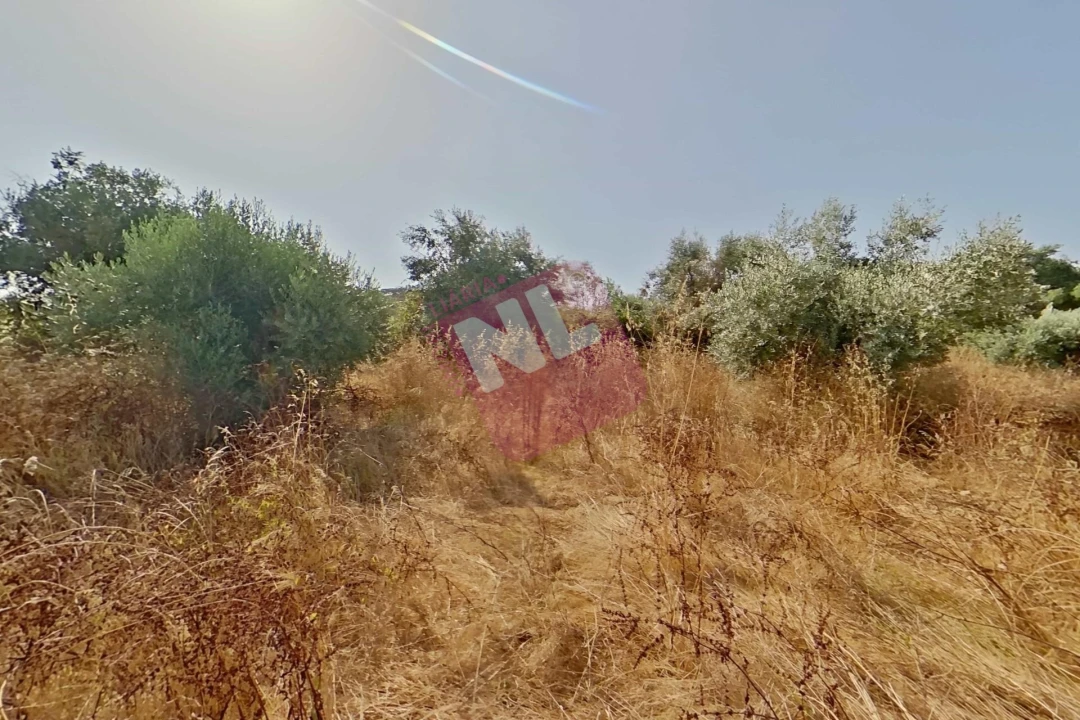 Terreno para Venda em Vale de Santiago Foto 42