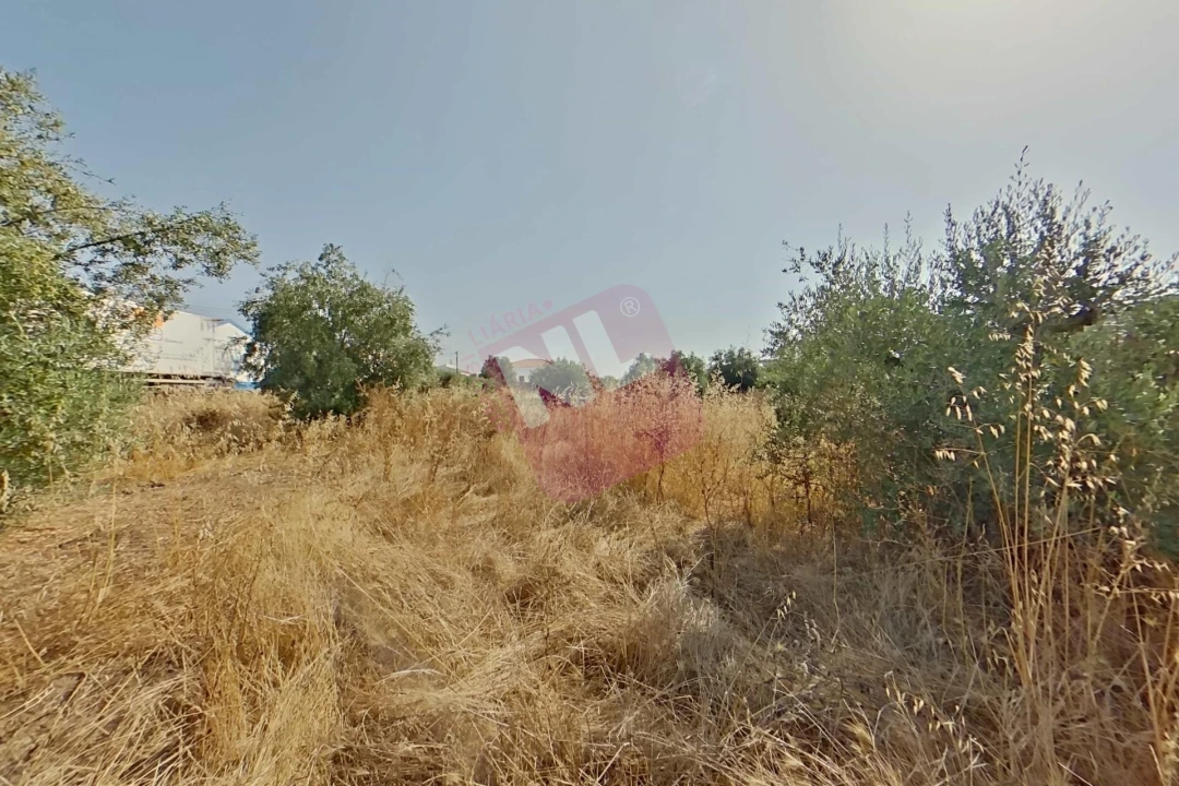 Terreno para Venda em Vale de Santiago Foto 23