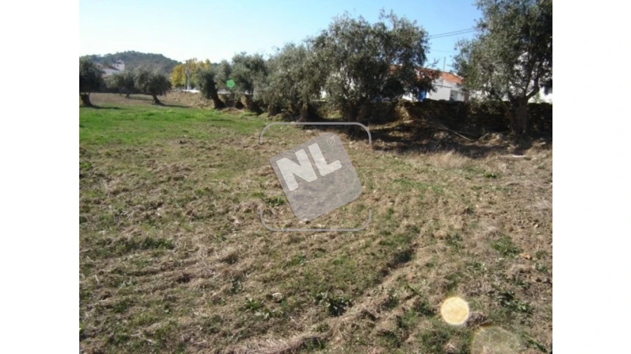 Terreno para Venda em Vale de Santiago Foto 3