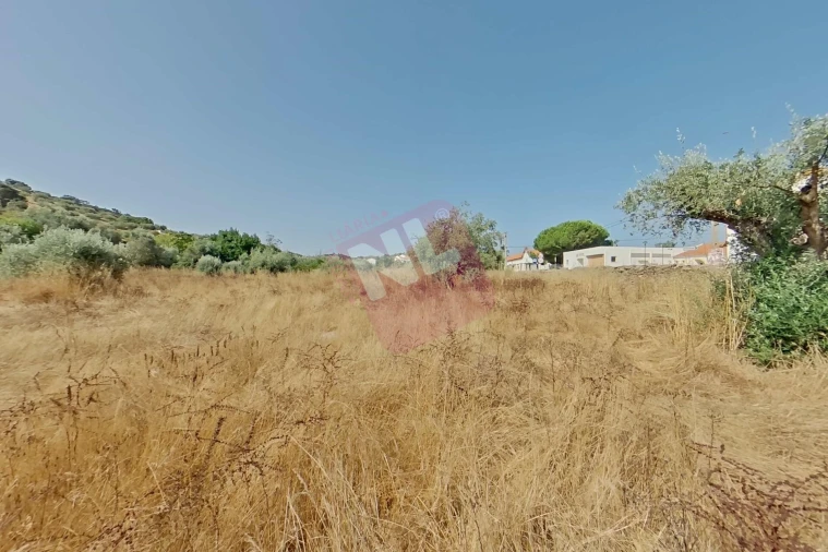 Terreno para Venda em Vale de Santiago Foto 41