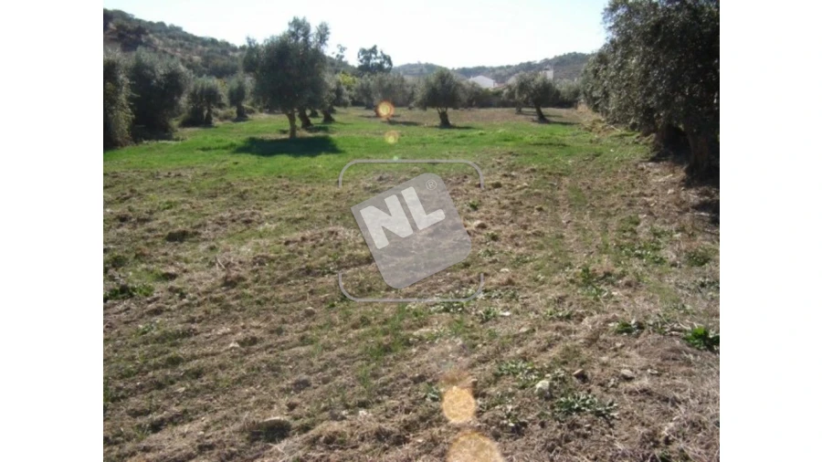 Terreno para Venda em Vale de Santiago Foto 2