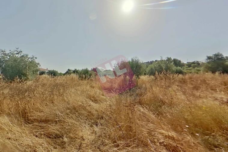 Terreno para Venda em Vale de Santiago Foto 10