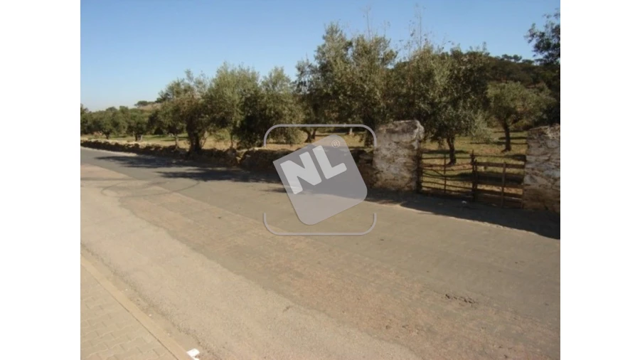 Terreno para Venda em Vale de Santiago Foto 7