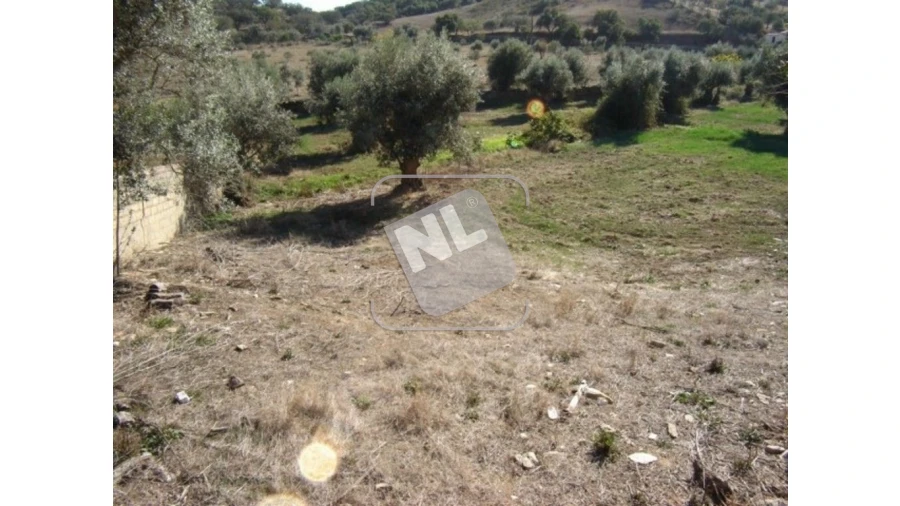 Terreno para Venda em Vale de Santiago