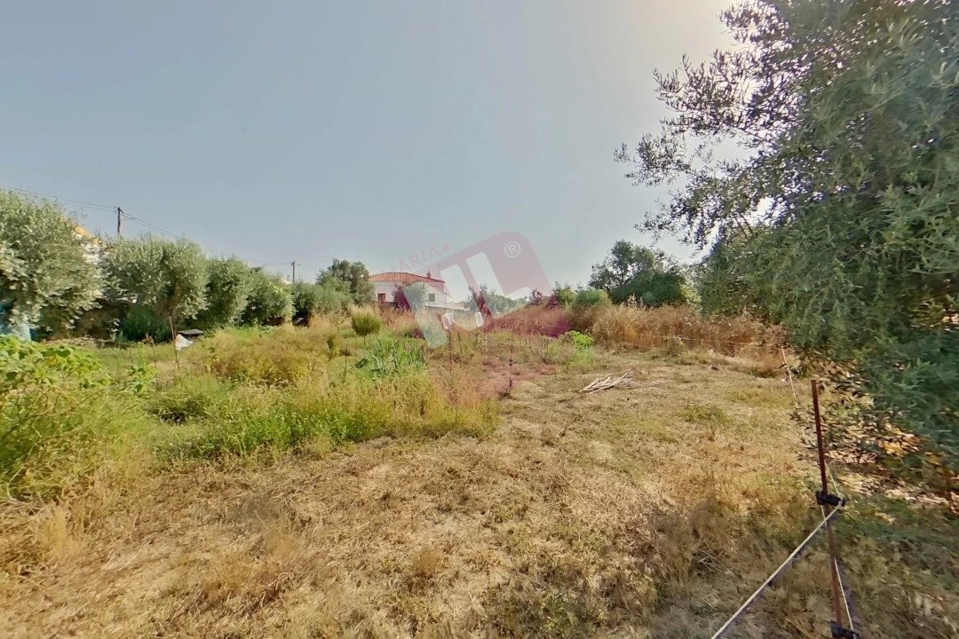Terreno para Venda em Vale de Santiago Foto 24