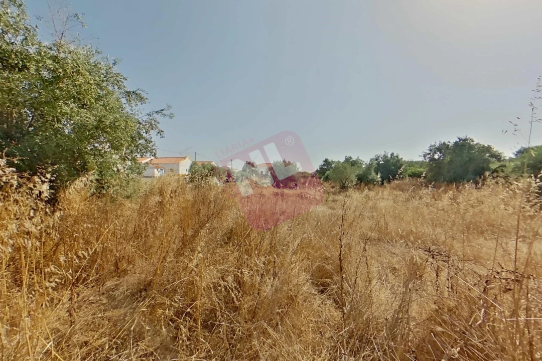 Terreno para Venda em Vale de Santiago Foto 37