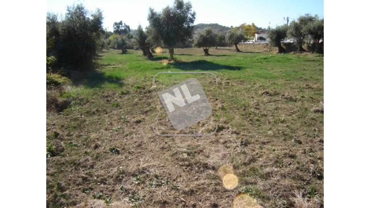 Terreno para Venda em Vale de Santiago Foto 4