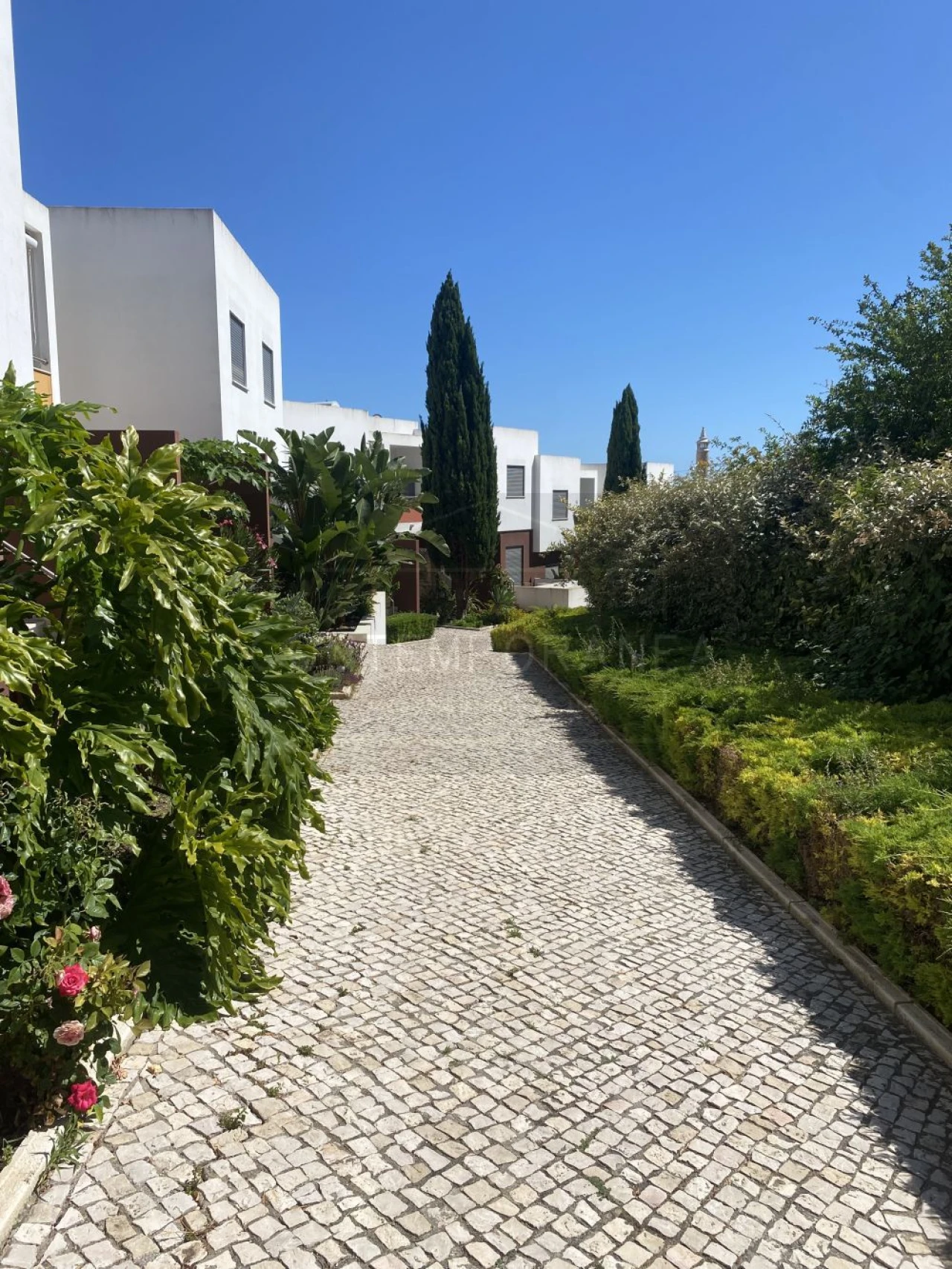 Apartamento T2 para Venda em Guia Foto 19