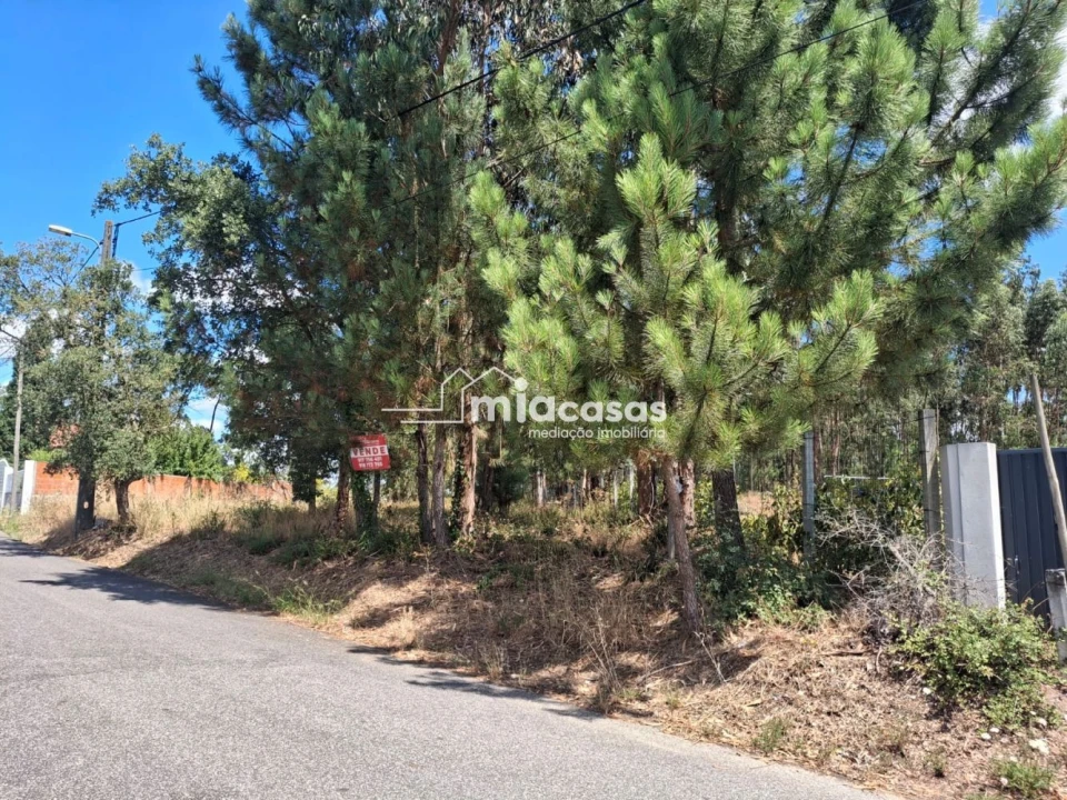 Terreno para Venda em São Lourenço do Bairro Foto 3