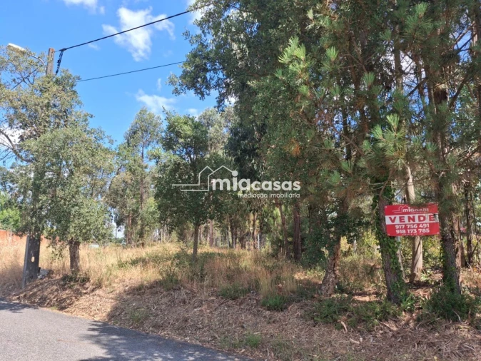 Terreno para Venda em São Lourenço do Bairro Foto 2