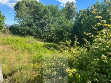 Terreno para Venda em Oliveira do Conde